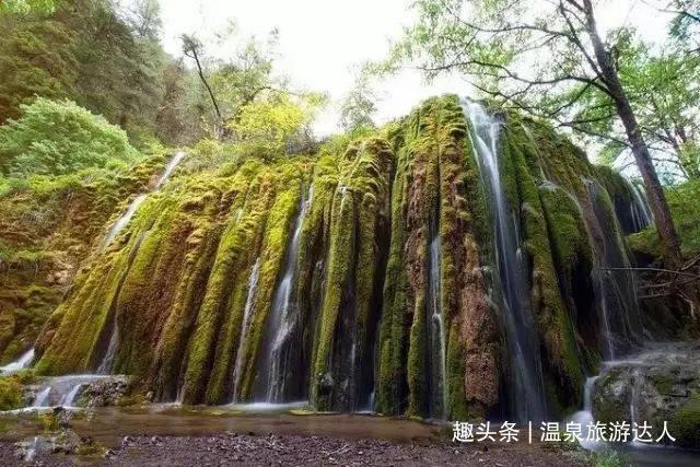 口袋侏罗纪