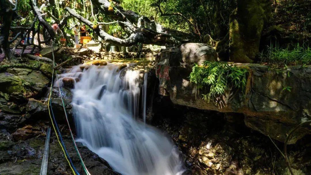 中国信达资产管理股份有限公司山西省分公司与 山西金诚企业管理咨询有限责任公司债权转让暨债务催收联合公告